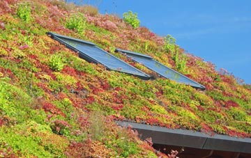 Ancton living roof systems