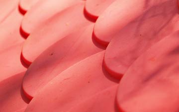 Ancton plastic roof costs