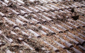 Ancton roof cleaning companies