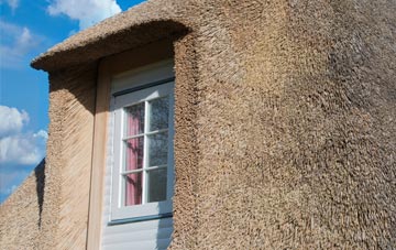 Ancton thatch roof disadvantages