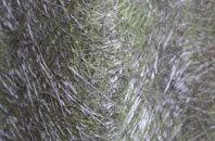 Ancton fibreglass roof work